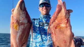 MONSTER Hogfish Madness Fish Every Drop! ( Underwater Footage)