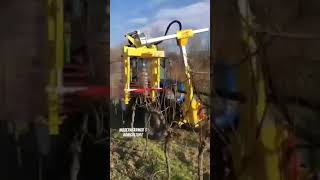 ಏಪ್ರಿಲ್ ಚಾಟ್ನಿ ಯಂತ್ರ ll Grapes Cutting