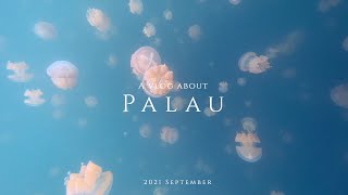 Vlog |2021 Palau 帛琉 夢幻水母湖 | 旅遊紀錄 | 4K