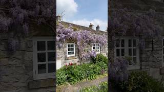 Beautiful English Cottage ~ Ashford in the Water #shorts #englishcountryside #cottage #british