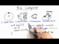 Classify the Bug - Software Debugging