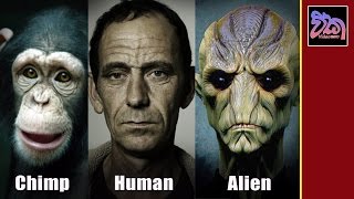 Chimp, Human and Alien