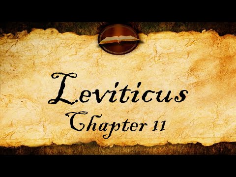 Leviticus Chapter 11 - KJV Audio With Text - YouTube