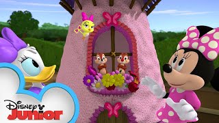 Butterfly Blooms | Chip 'N Dale's Nutty Tales | Disney Junior