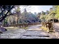 大照院（Daishoin Temple）山口県萩市（Hagi City,JAPAN）