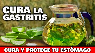 Cómo CURAR y ALIVIAR la GASTRITIS sin MEDICAMENTOS | Plantas Medicinales para Cultivarlas en Jardín