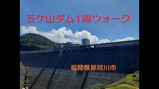 【山戸漣さんのお散歩】五ケ山ダム1周ウォーク　五ケ山クロストレイル応援　福岡県那珂川市と佐賀県神埼市の堺のダム　小川内の杉