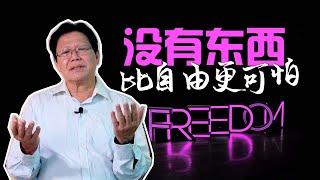 #文桥｜黄子聊天——没有什么比自由更可怕（第二季：第22期）