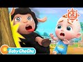 Baa Baa Black Sheep | Farm Animals Song + More Baby ChaCha Nursery Rhymes & Kids Songs