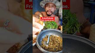 ตัวอ่อนจั๊กจั่นทอด / Fried cicada larvae #thaifood#thailand #mukbang#weirdfood #cookingthaifood