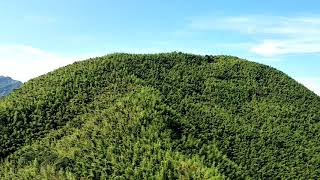 2018.6.9嘉義梅山太平雲梯（梅山龍眼村麥走步道3）