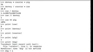Python Programming Tutorial - 3 - initializing Variables