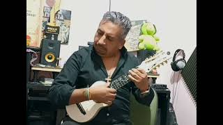 Hotel California - Eagles cover en charango