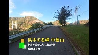 孤高のブナ 中倉山へ 4K UHD撮影