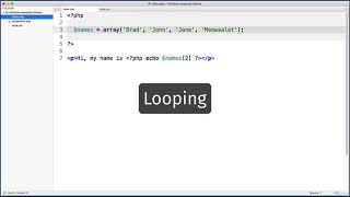 What is an Array ? wordpress english tutorial