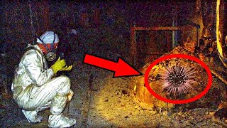 12 Most Mysterious Finds That Scientists Still Can't Explain