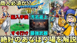 【壊れ装備を先取りしろ!!】ドラクエ3リメイクの絶好のあなほりスポットについて徹底解説！！これを見るだけで商人を仲間にしたくなる...かも!?【ドラクエ解説】