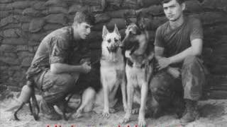 Vietnam Marine Corps Scout Dogs, RVN 1970-1971