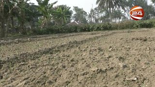 সরকারি প্রণোদনার পেঁয়াজের বীজে চারা না হওয়ায় ক্ষতি বেড়ে সর্বশান্ত কৃষকরা