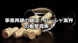 チルインの創業から衰退まで：成長の軌跡とシーシャ業界競争構造の分析　アーリーアダプターのチルインVSニューフェイスのCSTAND　の比較