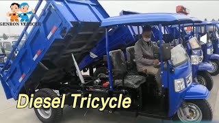 3 Wheels Diesel Tricycle Motorized Heavy Duty 5 Tons Tipping For Cargo