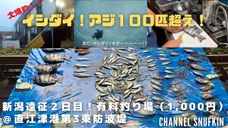 【新潟県上越市】100匹超え！イシダイ・アジ大爆釣！直江津ハッピーフィッシング有料釣り場の入り方@直江津港第3東防波堤 管理釣り場