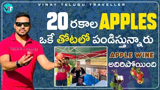 అబ్బా ఏమి TASTE గురు 😚 | Apple Farm Tour | Apple Wine | Vinay Telugu Traveller #vinaytelugutraveller