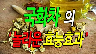 효능백과사전 국화차 효능, 국화차 놀라운 효능효과 꼭 알아야 할 7가지 정보, 먹는방법, 문헌정보, 뉴스 자료, 실제사례