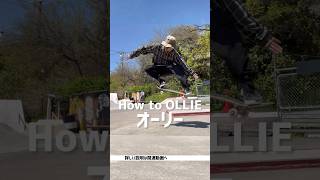 【How to OLLIE】誰でもマネ出来るシンプルなやり方#skateboarding #ollie #オーリー #スケボー初心者 #スケートボード初心者