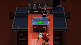 New 3D AI Virtual Ping Pong Game Came Out🤖