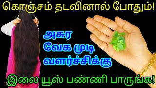 பல வருட பிரச்சனையை சரி செய்ய இந்த இலையை இப்படி யூஸ் பண்ணுங்க!|kitchen tips @hezatastyrecipes