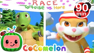 Tale of Tortoise and the Hare  | Animals for Kids | Animal Cartoons | Learn about Animals