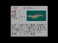 sfc snes 1995 川のぬし釣り2 圖鑑、區域位置