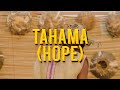 Don Ziggy - Tahama (Official Video)