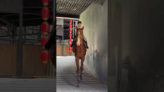 汗血宝马 走出了六亲不认的步伐😘#horseriding #horsevideo #horseride #horserider #horses #horse #funny #funnyvideo