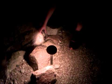 Catching a Tarantula in Marana Arizona Catching a Tarantula in Marana Arizona