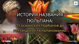 История Названия Тюльпана: От Османских Тюрбанов до Голландской Тюльпаномании