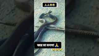 ভুল করেও কেউ এই ভিডিওটি এড়িয়ে যাবেন না অহংকার করলেই বিপদ জয় মা মনসা ৭দিনের মধ্যে ভাগ্য বদলে যাবে