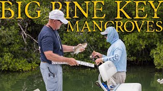 KEEPER Mangrove Snapper in the Big Pine Key Bays