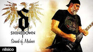 SHINEDOWN - Sound Of Madness - Guitar Cover