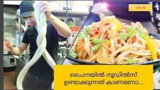 Chinese Noodles Making In Small Unit | ചൈനയിലെ നൂഡിൽസ് യൂണിറ്റിലെ അപൂർവ കാഴ്ചകൾ /Vlog-09