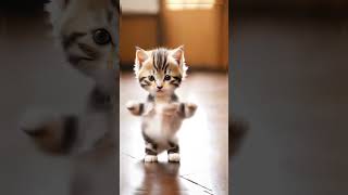 Cat Ai video dance #cat #ai #dance #video #shorts #viralvideo