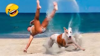 Funny Dog Fails🐶 - Funniest Cats And Dogs 2023😹🐶 | Pets Island