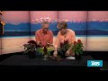 all about crazy colorful celosia with gardening expert ciscoe morris new day northwest