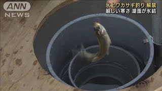 冬の風物詩　氷上ワカサギ釣り解禁　群馬・赤城大沼(2022年1月10日)