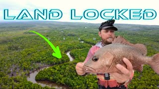 HINCHINBROOK ISLAND | land lock my self in a creek fishing for mangrove jacks