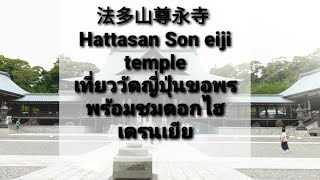 法多山尊永寺 Hattasan Son eiji templeเที่ยววัดญี่ปุ่นขอพร พร้อมชมดอกไฮเดรนเยีย