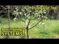 PRUNING FRUIT TREES | BEST SHAPES for SIZE and PRODUCTION