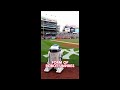 Robot Umpires coming to the MLB