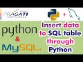 Python & MySQL - Insert data to Table in SQL through Python